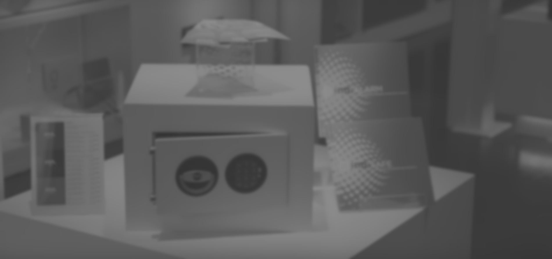 prevencion del delito contra el robo en viviendas