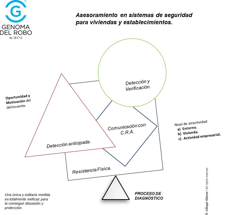 asesoría en sistemas de seguridad contra el robo